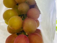 -马陆小张葡萄园农家乐