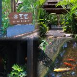 离开版纳前我吃了什么