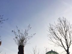 -大连金石滩绿发温泉假日酒店