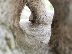 -红花山公园