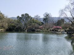 -西湖外事游船(花港观鱼码头)