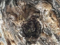 -硗碛藏寨·神木垒景区