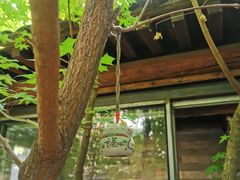 -VOYAGE COFFEE(杨梅竹店)