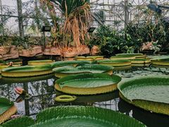 -华南国家植物园-售票处