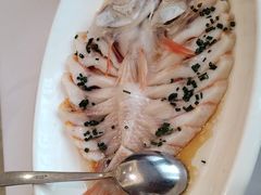 -骏莱海鲜鱼港(五角场店)
