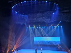 -重庆国际马戏城
