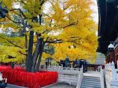 -红螺寺