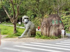 -姑婆山旅游区