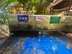 -亚马逊蒸汽活海鲜自助(LCM置汇旭辉广场店)