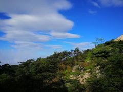 -天柱山风景区