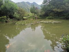 -中国茶叶博物馆(双峰馆区)