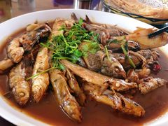 -杨辉饭店