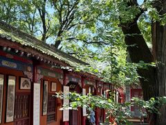 -少华山国家森林公园