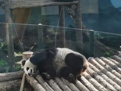 -大连森林动物园