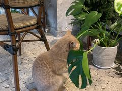 -MIMO CAFE(沙头角店)