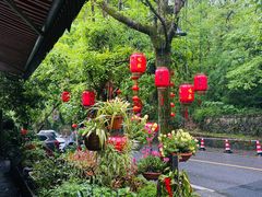 -国生茶庄·地道农家菜团建活动