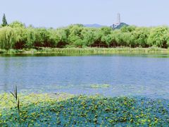 -北坞公园
