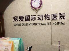 -宠爱国际动物医院· 猫科· 外科·中兽医(长白店)