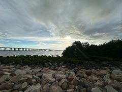 -宝安西湾红树林湿地公园