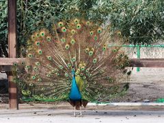 -泗洪洪泽湖湿地景区
