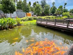 -枫香湖儿童公园