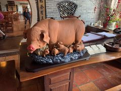 -顺德了能馆(虎门店)