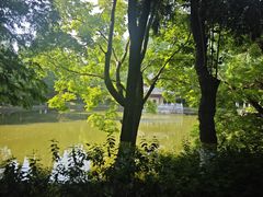 -习家池