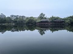 -棠湖公园