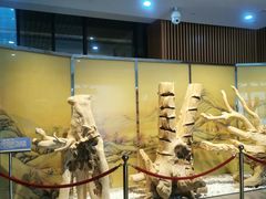 -香市公园-中国沉香文化博物馆