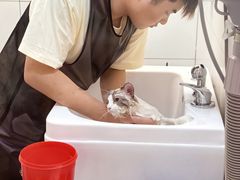 -帕帕拉兹宠物(亚洲旗舰店)