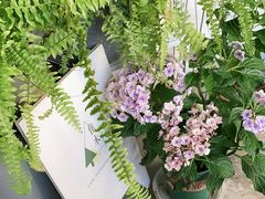 -隹木咖啡馆(宝龙广场店)