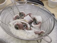 鱼皮-源港渔村-中山脆肉鲩(博罗店)