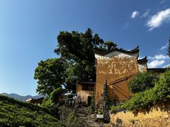 -杨家堂村