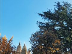 -北京石刻艺术博物馆(五塔寺)