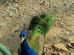 -南京金牛湖风景区