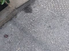 -湖锦酒楼·旗舰店(三阳总店)