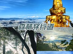 -峨眉山风景名胜区
