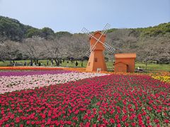 -苏州上方山国家森林公园