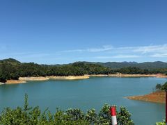 -广州市流溪河国家森林公园