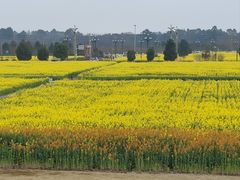 -中国天府农业博览园