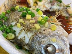 -阿四台山黄鳝饭(东门店)