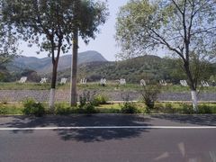 -幽岚山·童话森林