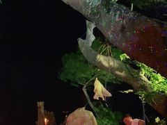 -城墙外BAR