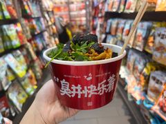 -黑色经典臭豆腐·湖南特产(潇湘文化店)
