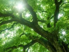 -汉长安城未央宫国家考古遗址公园