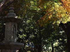 -汇龙潭