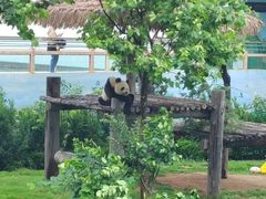 -西霞口神雕山野生动物世界