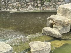 -葛仙湖公园