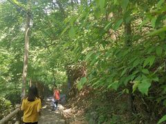 -藏龙百瀑风景区