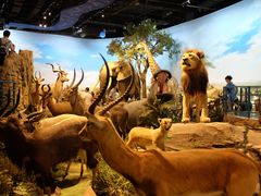 -陕西自然博物馆